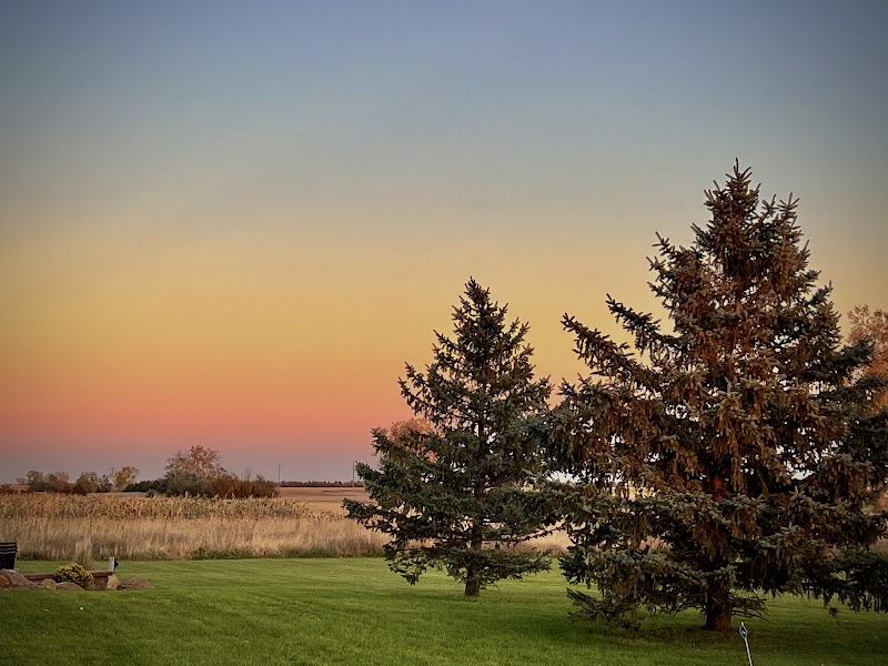 Big Shot Pheasant Lodge - Photo 6