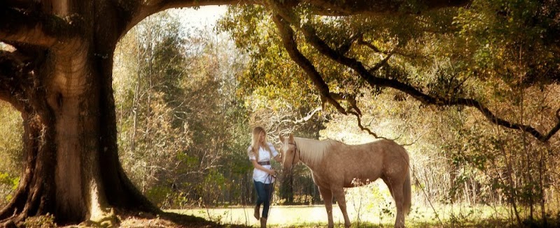 Frazier's Homestead - Photo 2