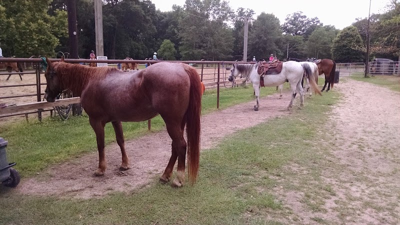 Frazier's Homestead - Photo 5