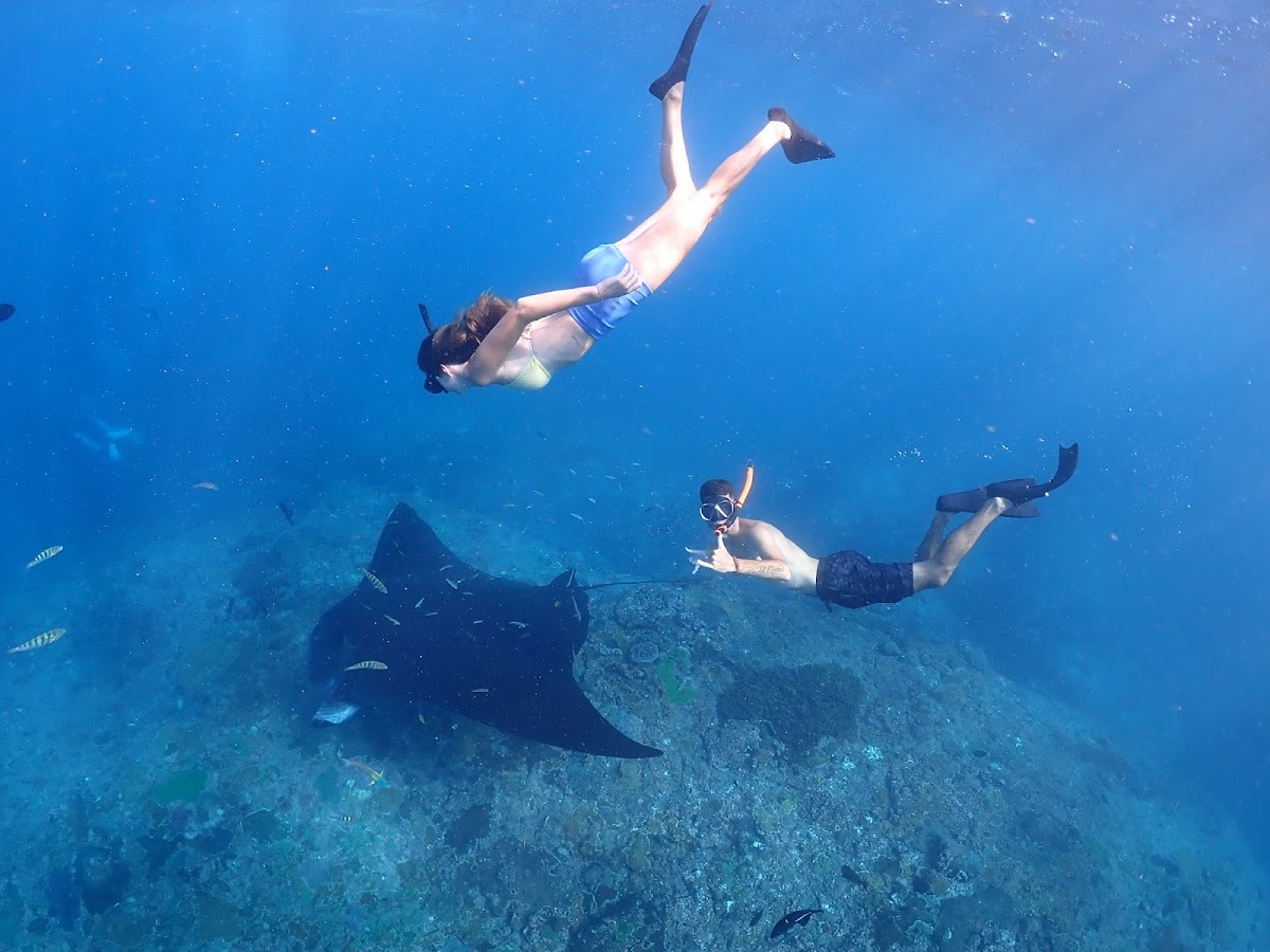 Discover Nusa Penida