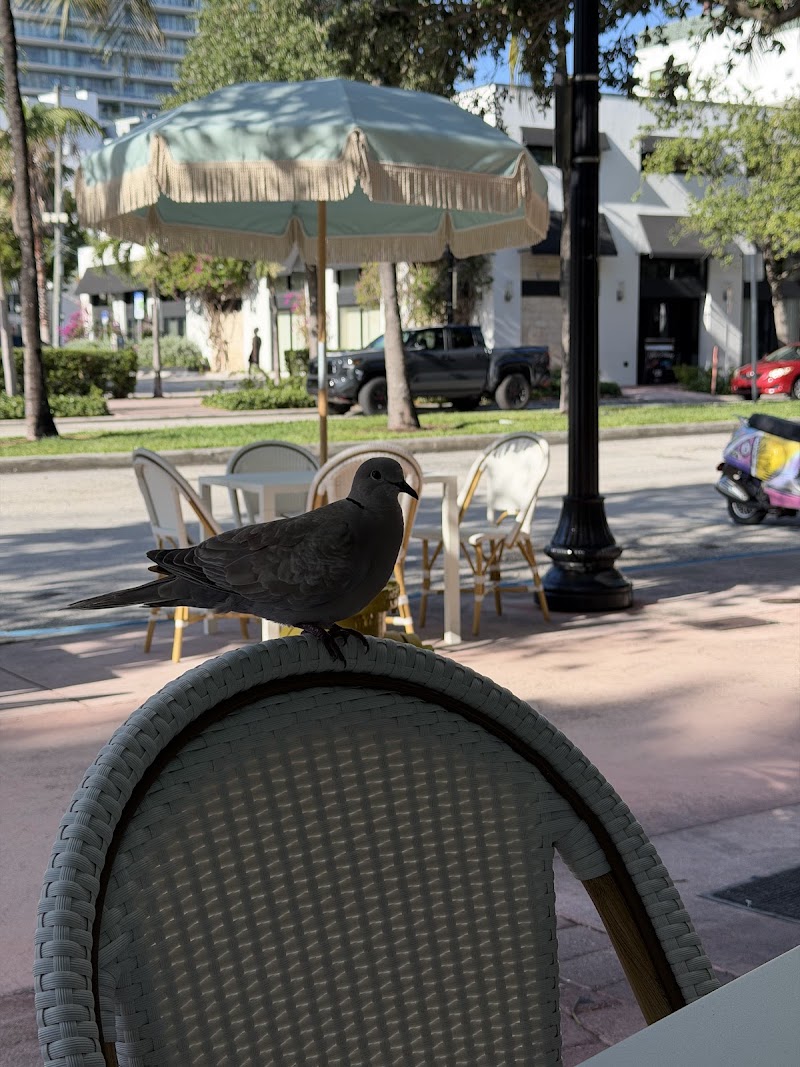 Pura Vida Miami photo 2