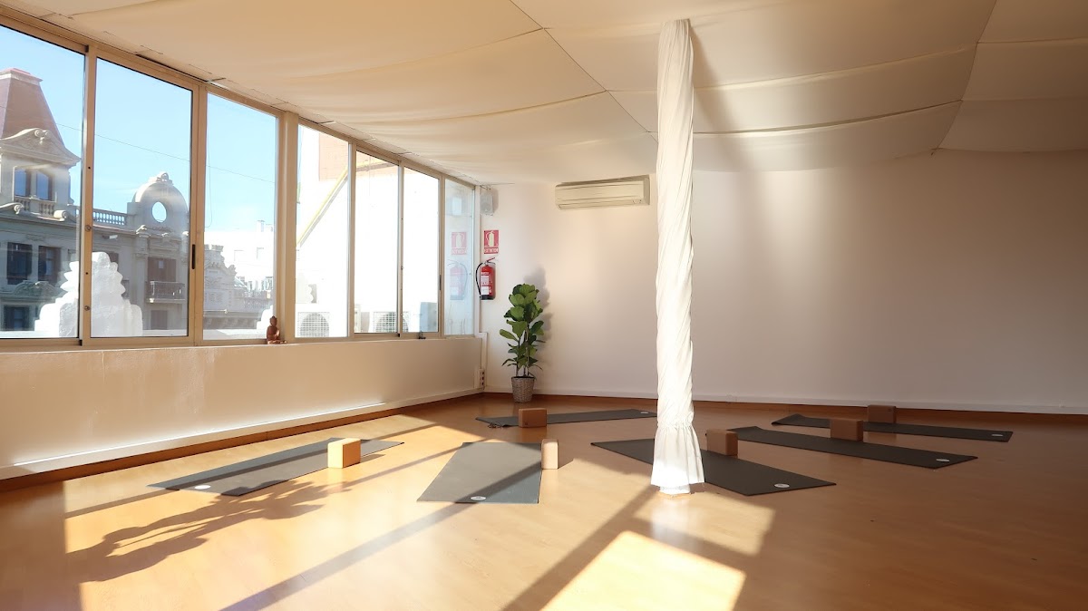 Myoga Coaching — 3