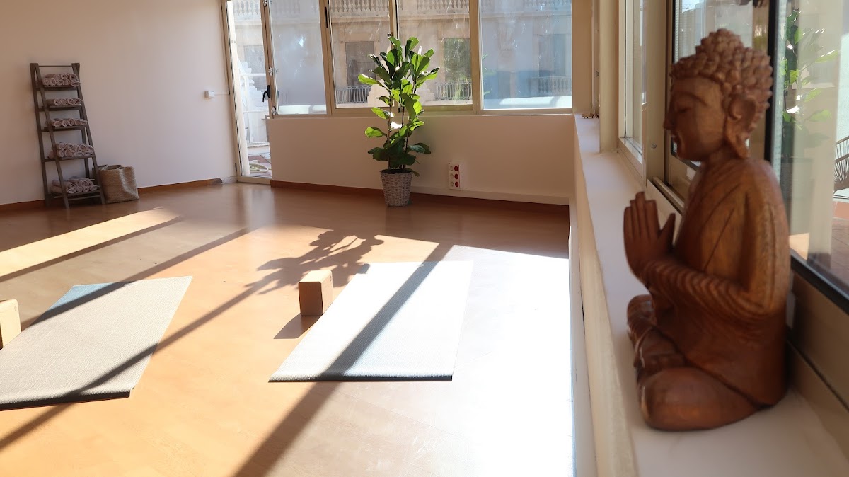 Myoga Coaching — 4