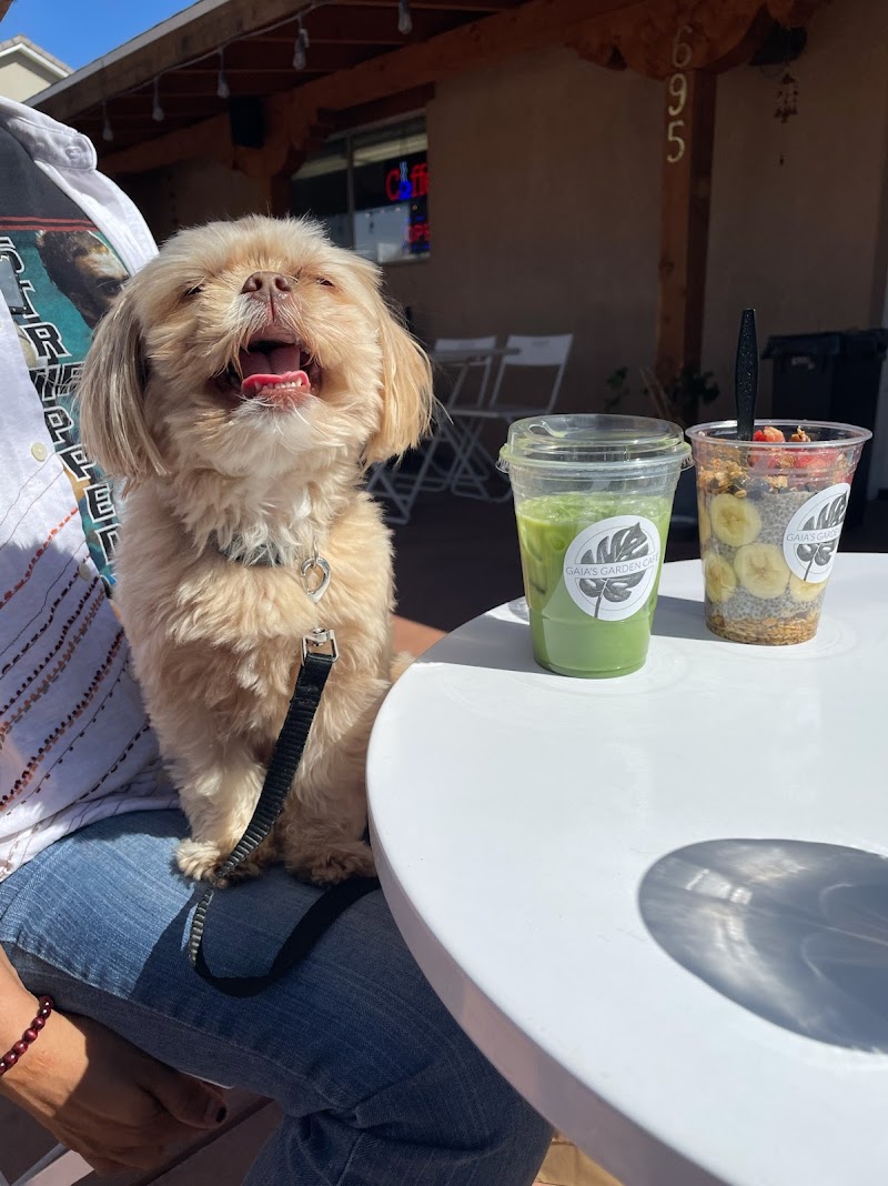 Gaia's Garden Cafe photo 3