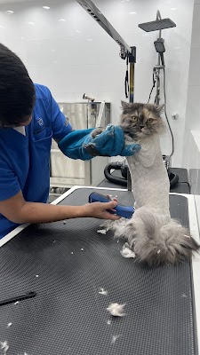 مركز هوايتي البيطري My Hobby Veterinary Center