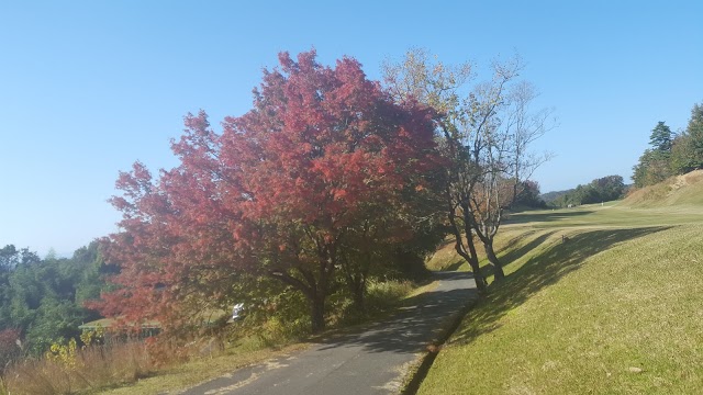 Hokuriku Green Hill Golf Club - Photo 7