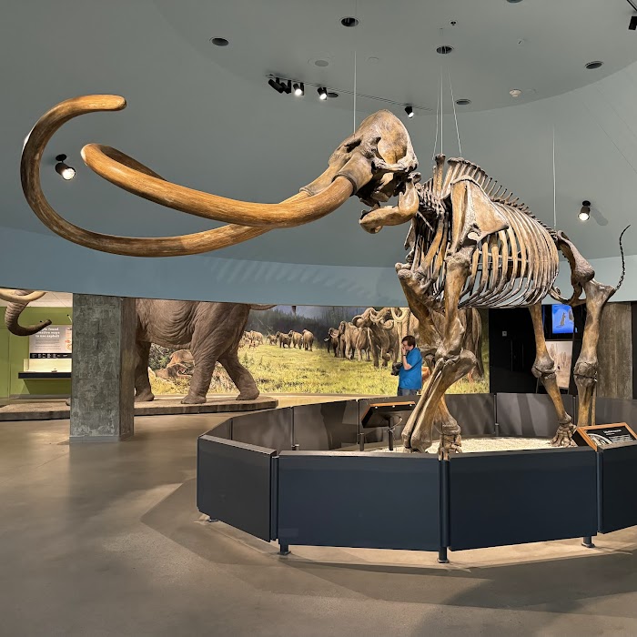 La Brea Tar Pits and Museum fotoğraf 1