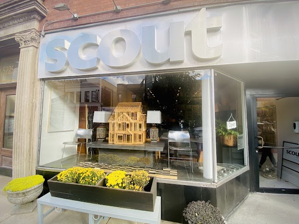 Scout 1