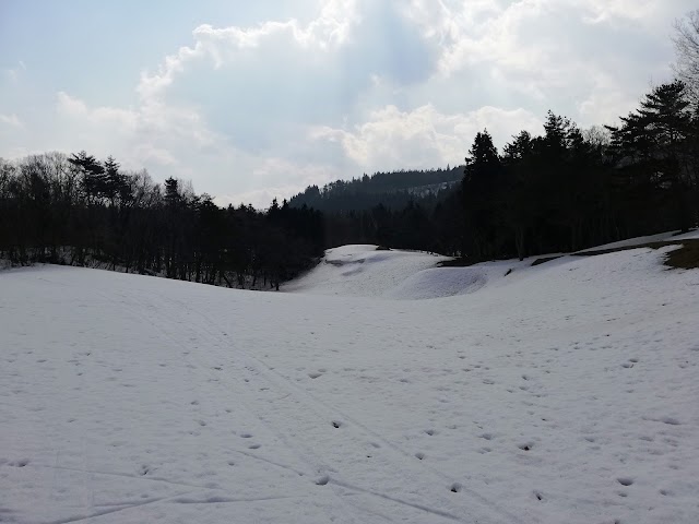 Naruko Country Club - Photo 5