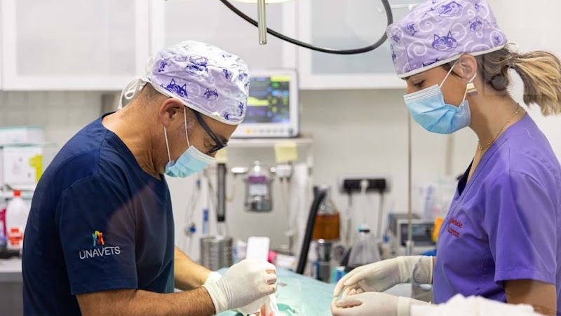 Clínica Veterinaria Etorbide Durango