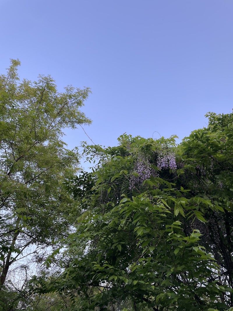 지수체육공원 전망대 사진 6
