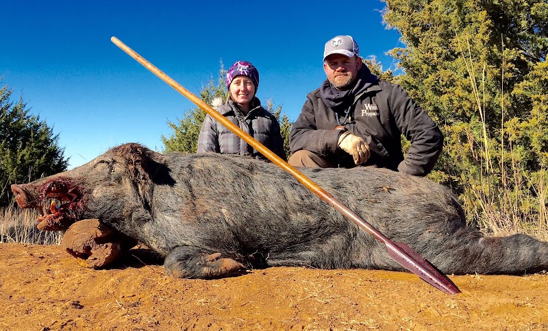 Hog Wild - Photo 1