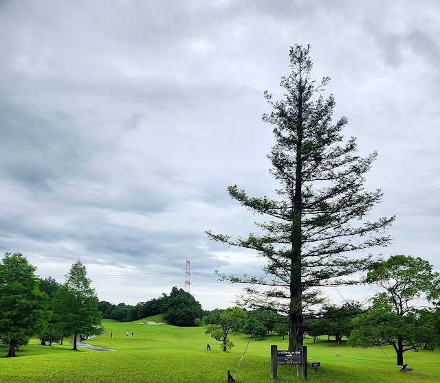 Bears Paw Japan Country Club - Photo 5