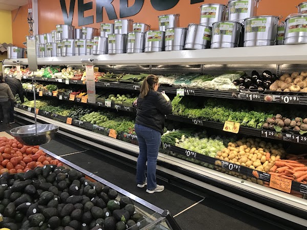 Photo by Robert Lifestyle