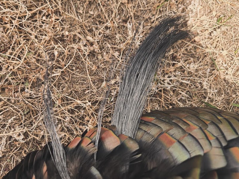 Prairie Legends Outfitters - Photo 5