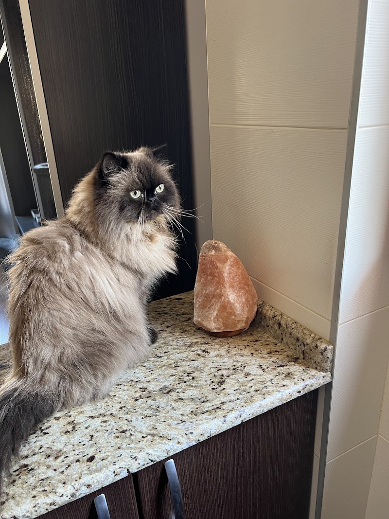 Clinica Veterinaria Duques de Nájera