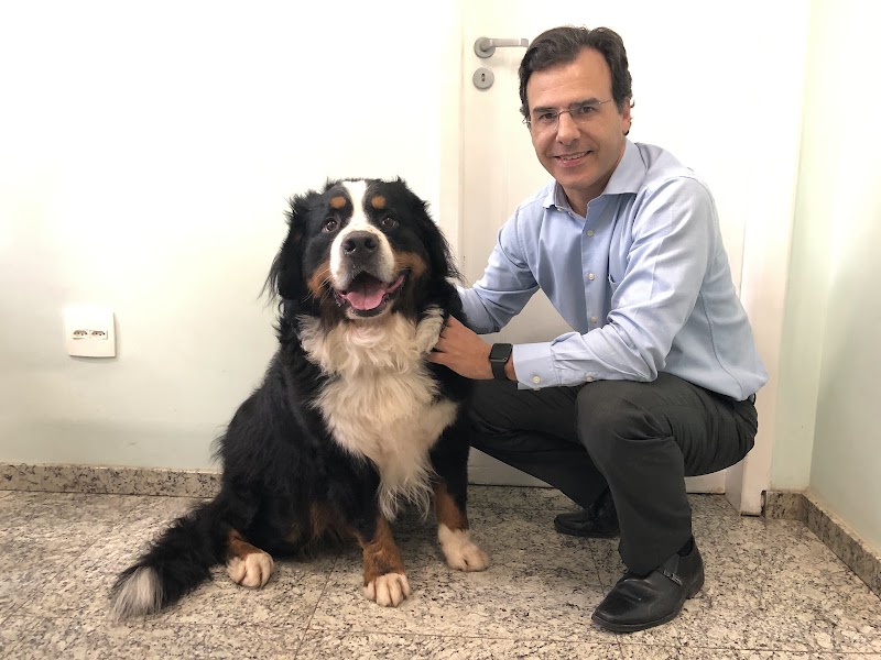 Zoodonto Odontologia Veterinária - foto 5