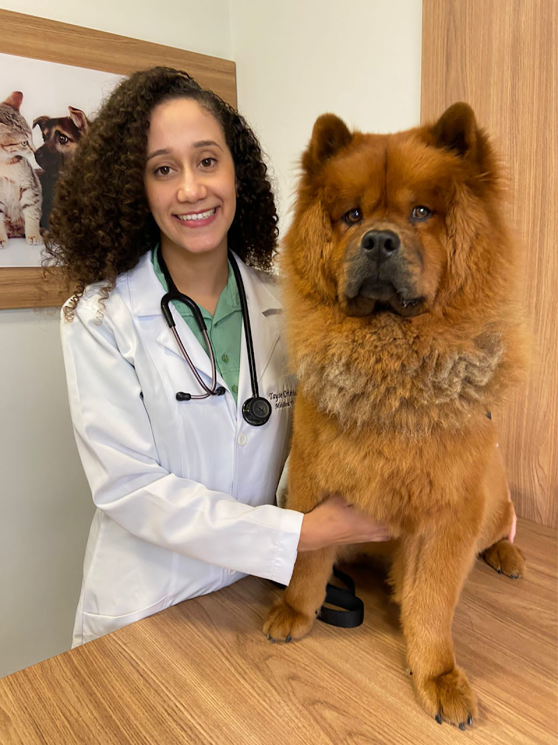 Zoodonto Odontologia Veterinária - foto 4