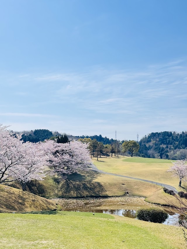 Meihan Royal Golf Club - Photo 9