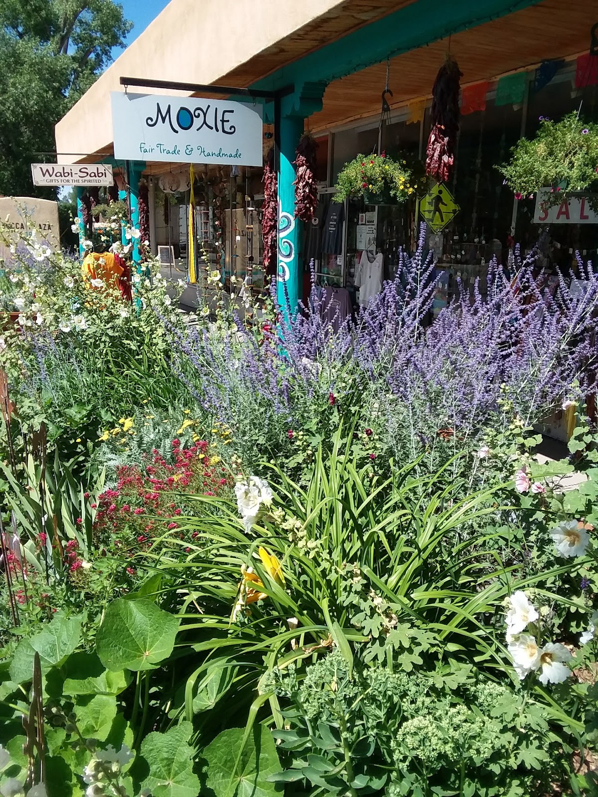 Taos Healing Arts — 4
