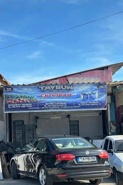 TAYBUN SOĞUK HAVA DEPOSU - Klima Servisi