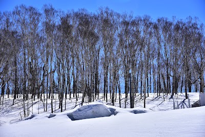 Nakayamatoge Ski Area - 2