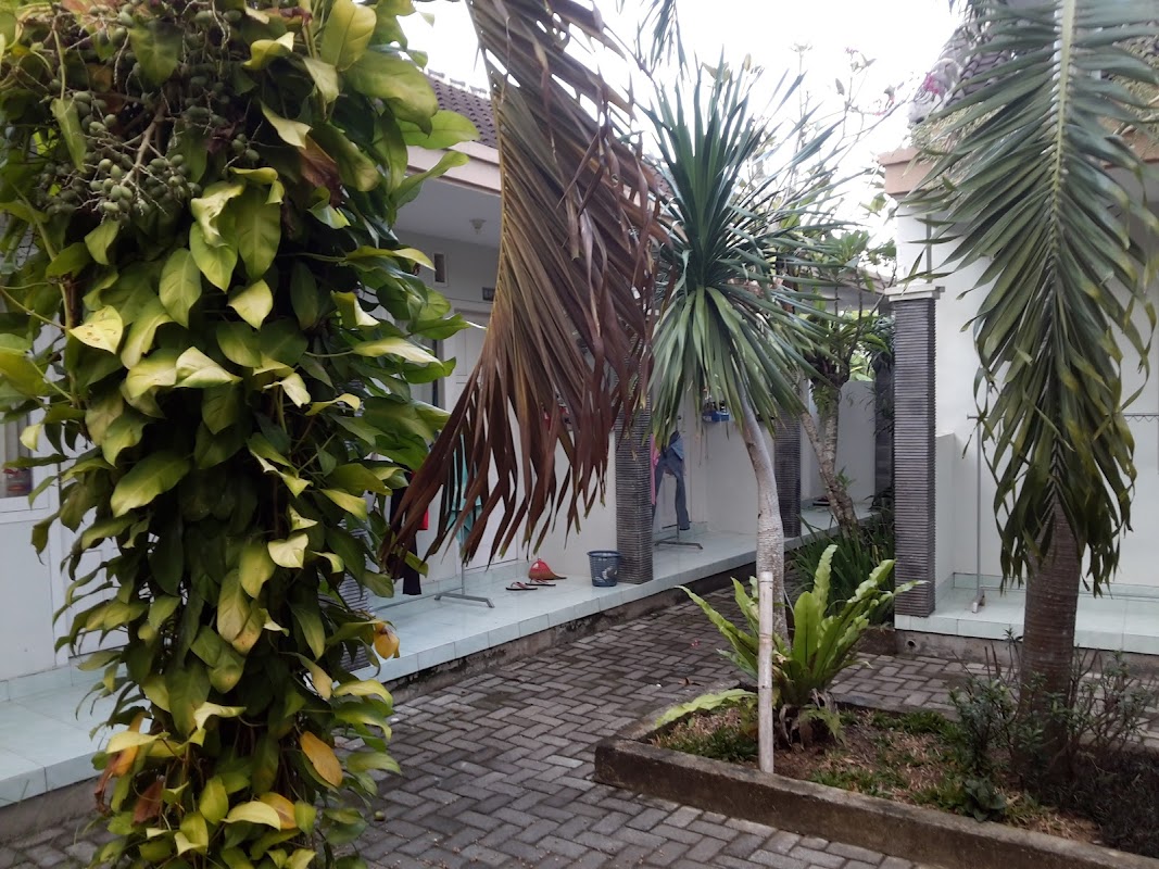 Ayudya Kos Banyuwangi