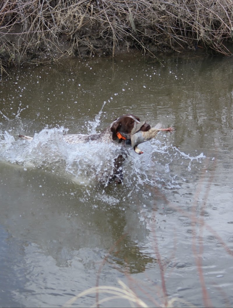 Boone Outfitters - Photo 1
