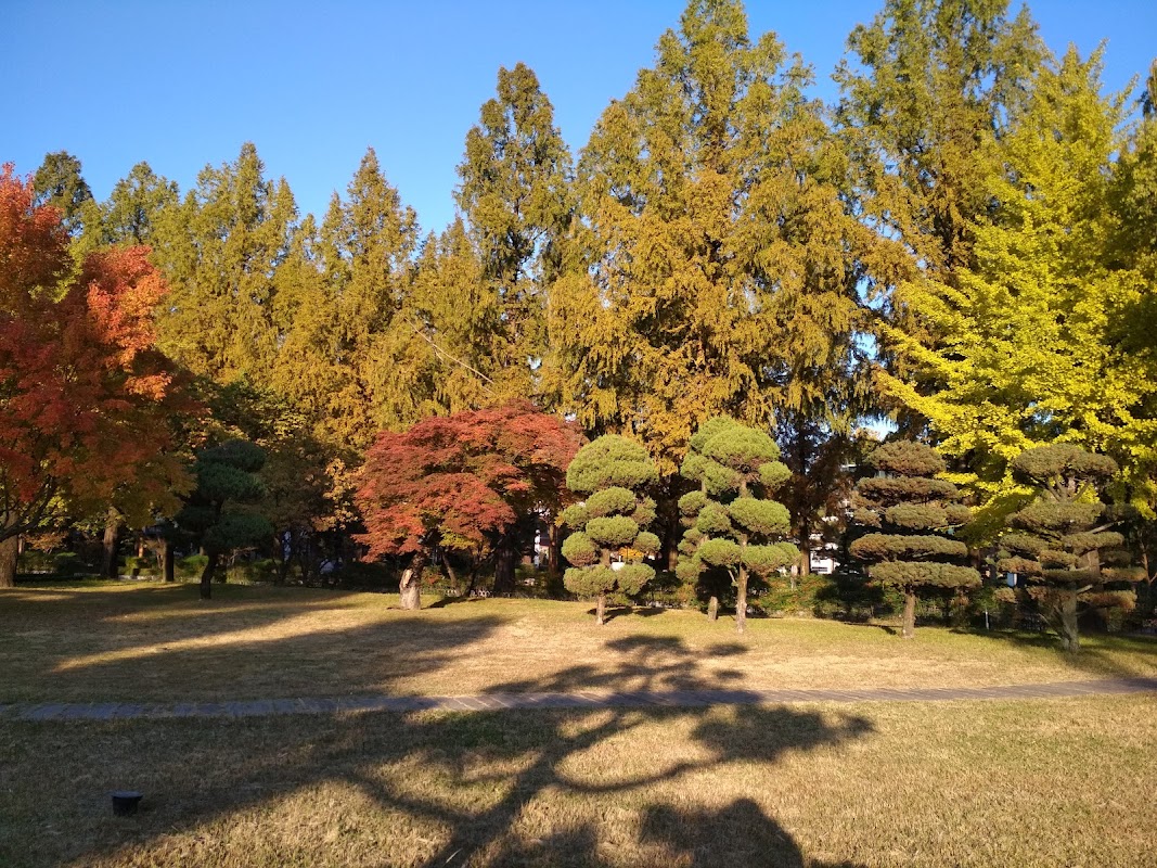 Hannam University