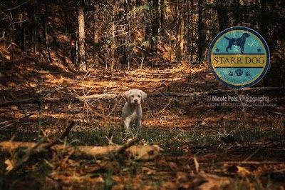 Starr Dog