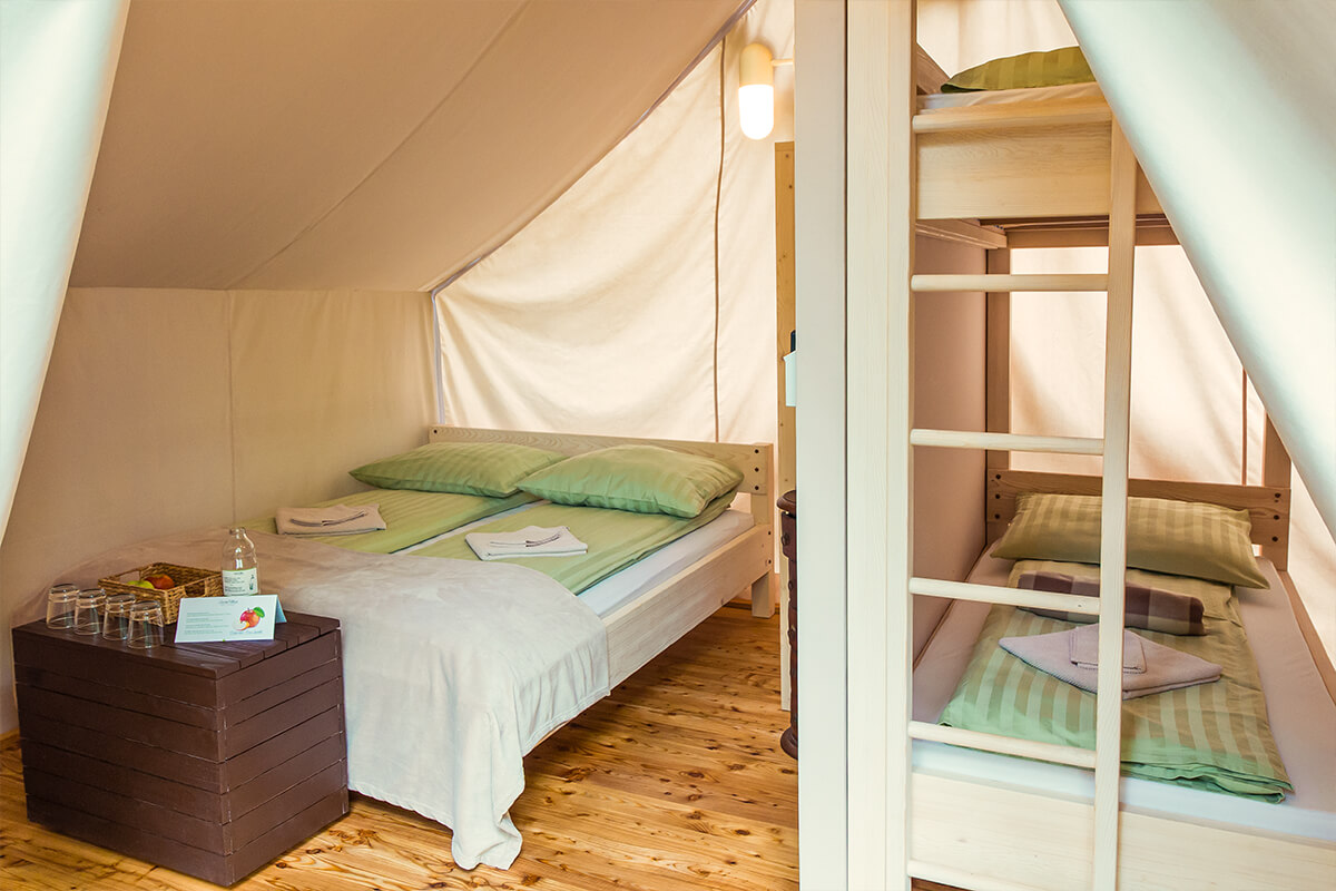 Hotel Slovenija, dog-friendly hotel
