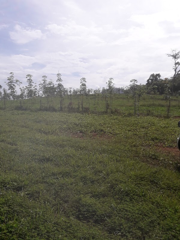 Pau Tandop - Photo 1