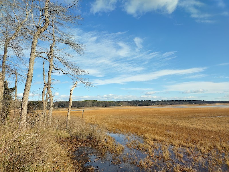 Old Sandwich Game Farm Wildlife Management Area - Photo 2