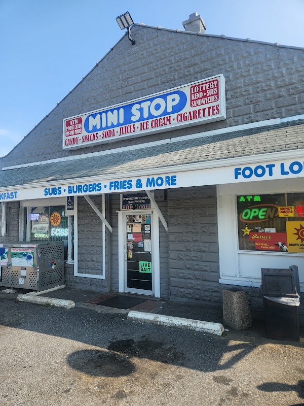 Mini Stop 1