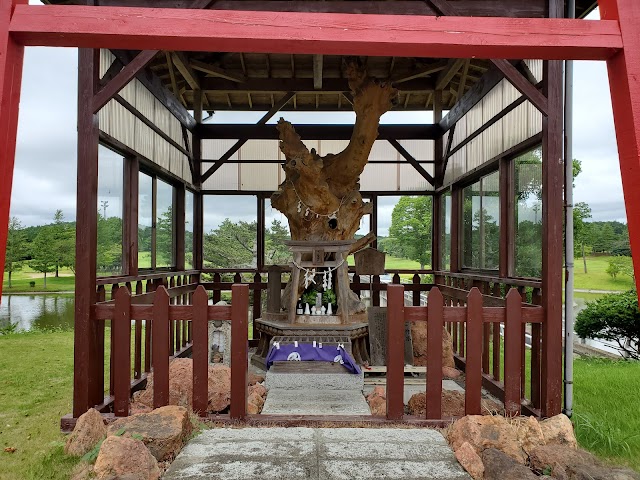 Mito Lakes Country Club - Photo 5