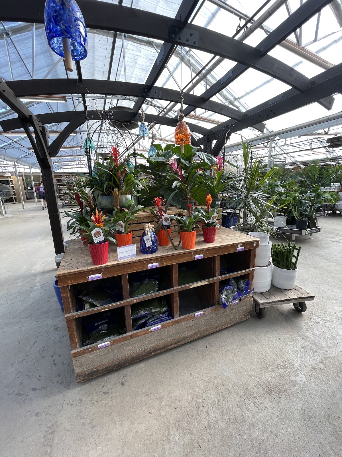 Bachman's Floral, Home & Garden: Google Places image 2