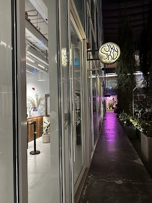 سكلي آرتيزان آيسكريم