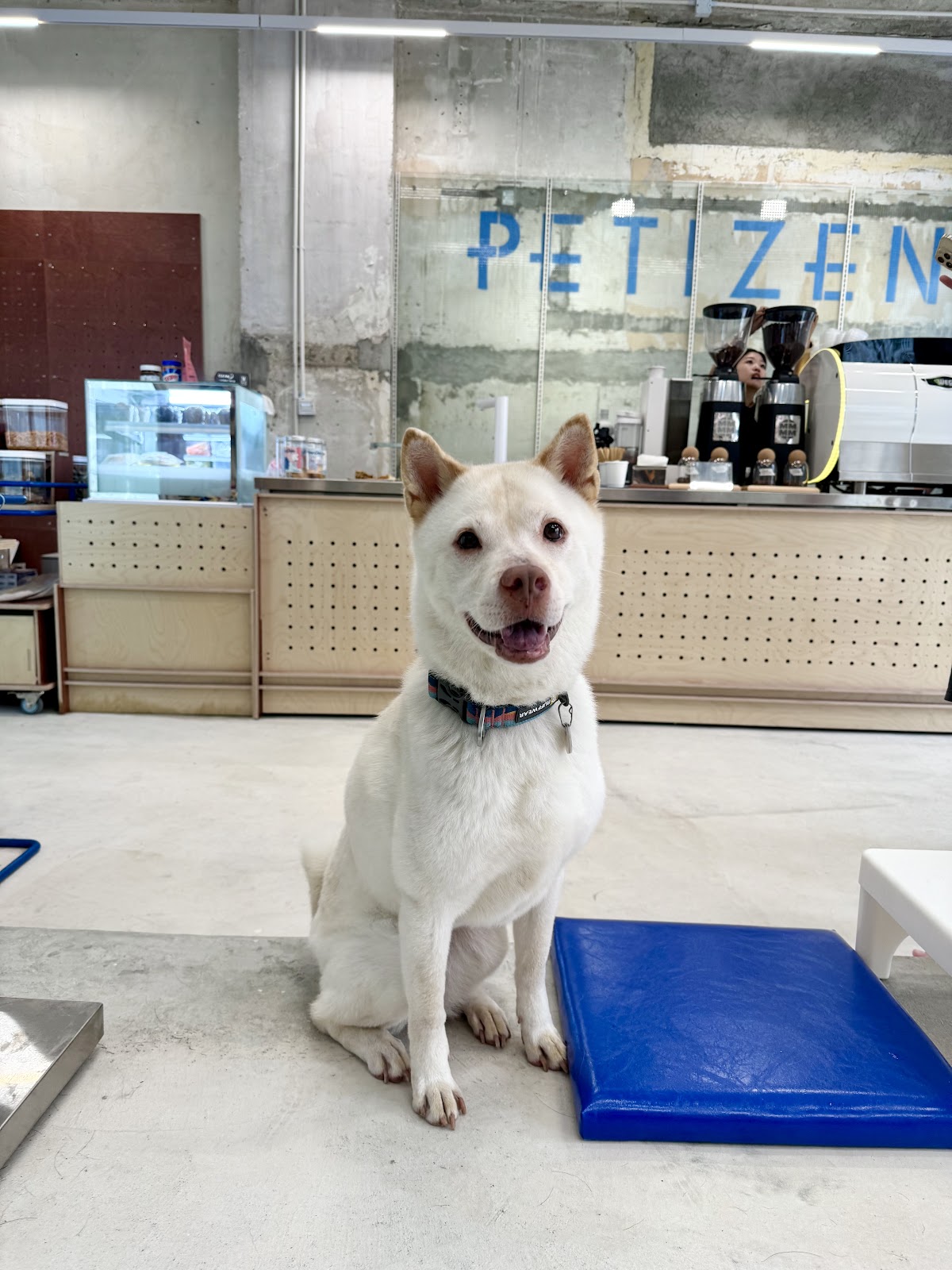 Petizen photo 3