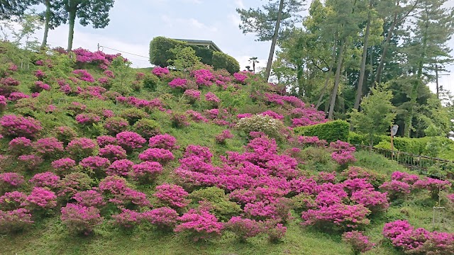 Kinzan Country Club - Photo 9