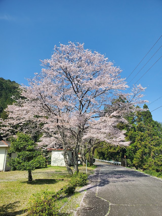 Kinzan Country Club - Photo 5