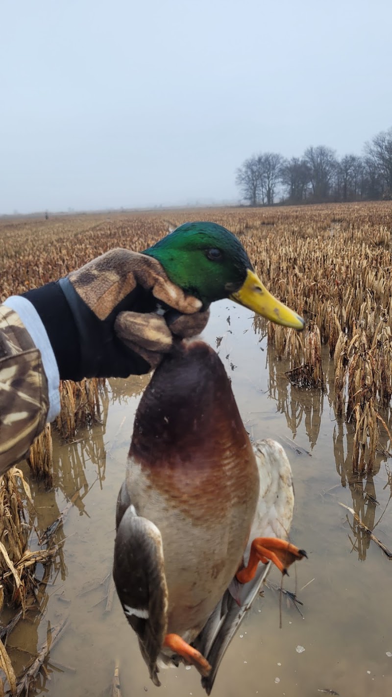 The Grove Hunting Club - Photo 6