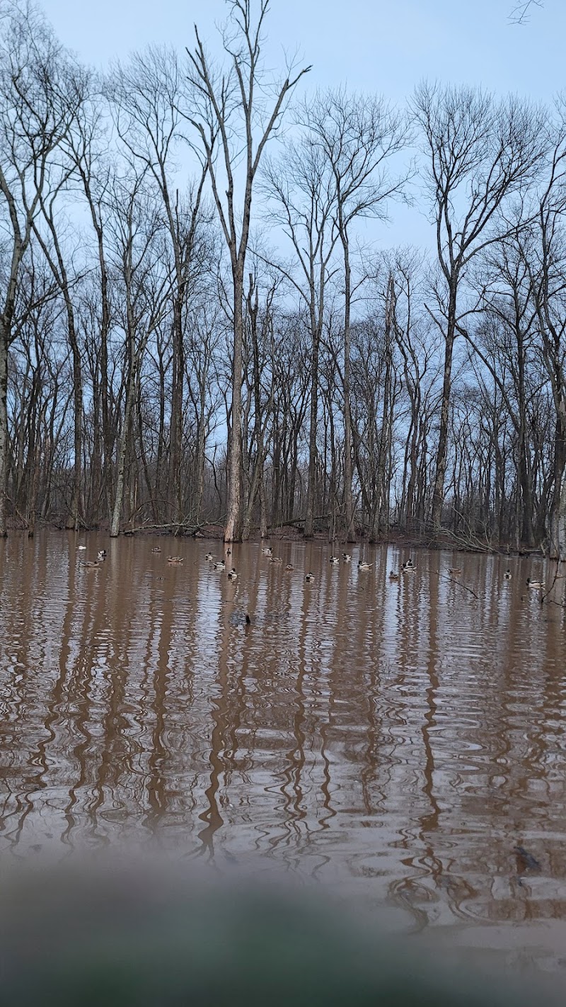 The Grove Hunting Club - Photo 5