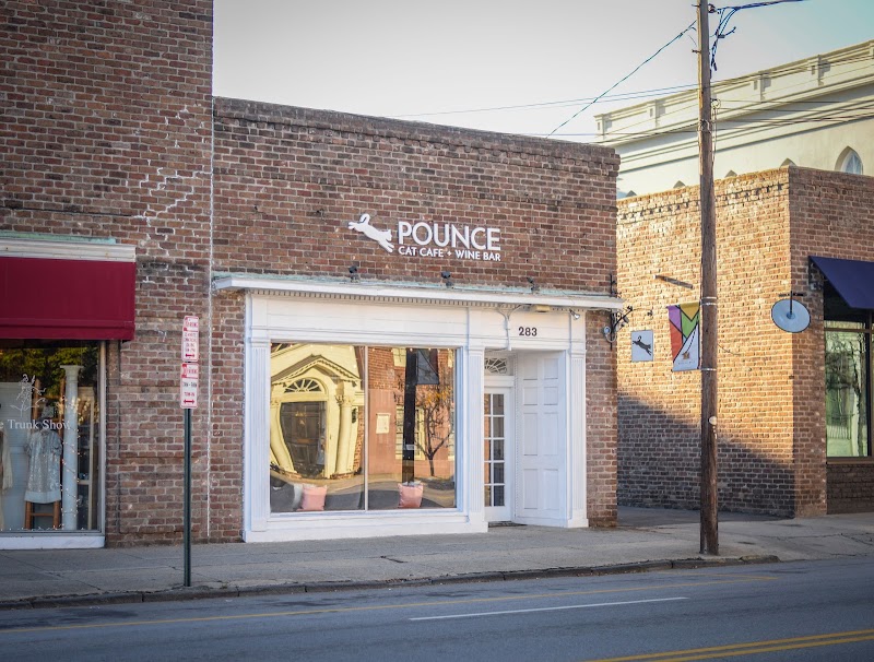Pounce Cat Cafe Charleston