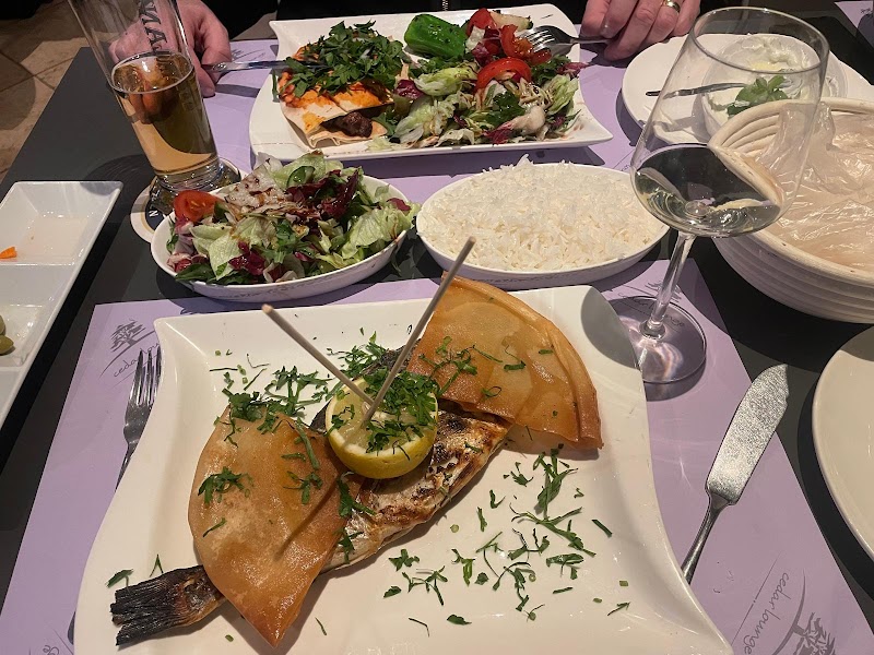 Cedar Lounge photo 3