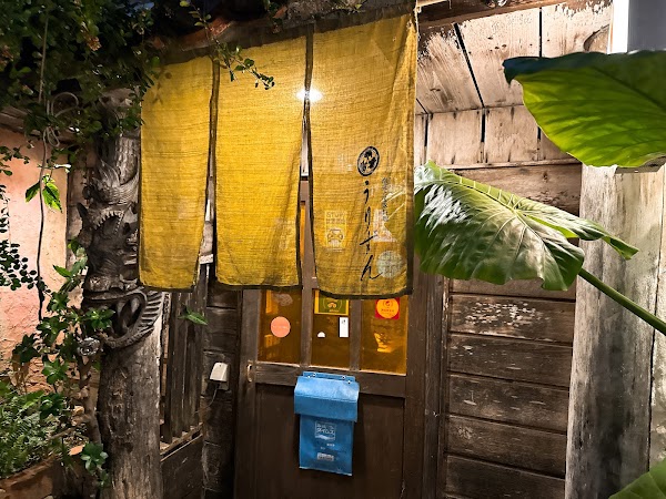 沖縄料理うりずん | Okinawan Cuisine