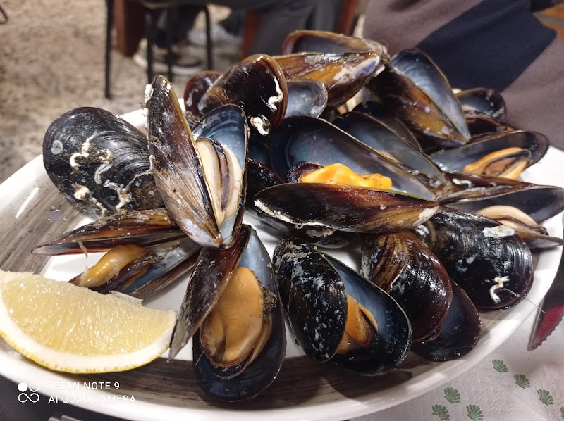 Taberna O Mexillón photo 2