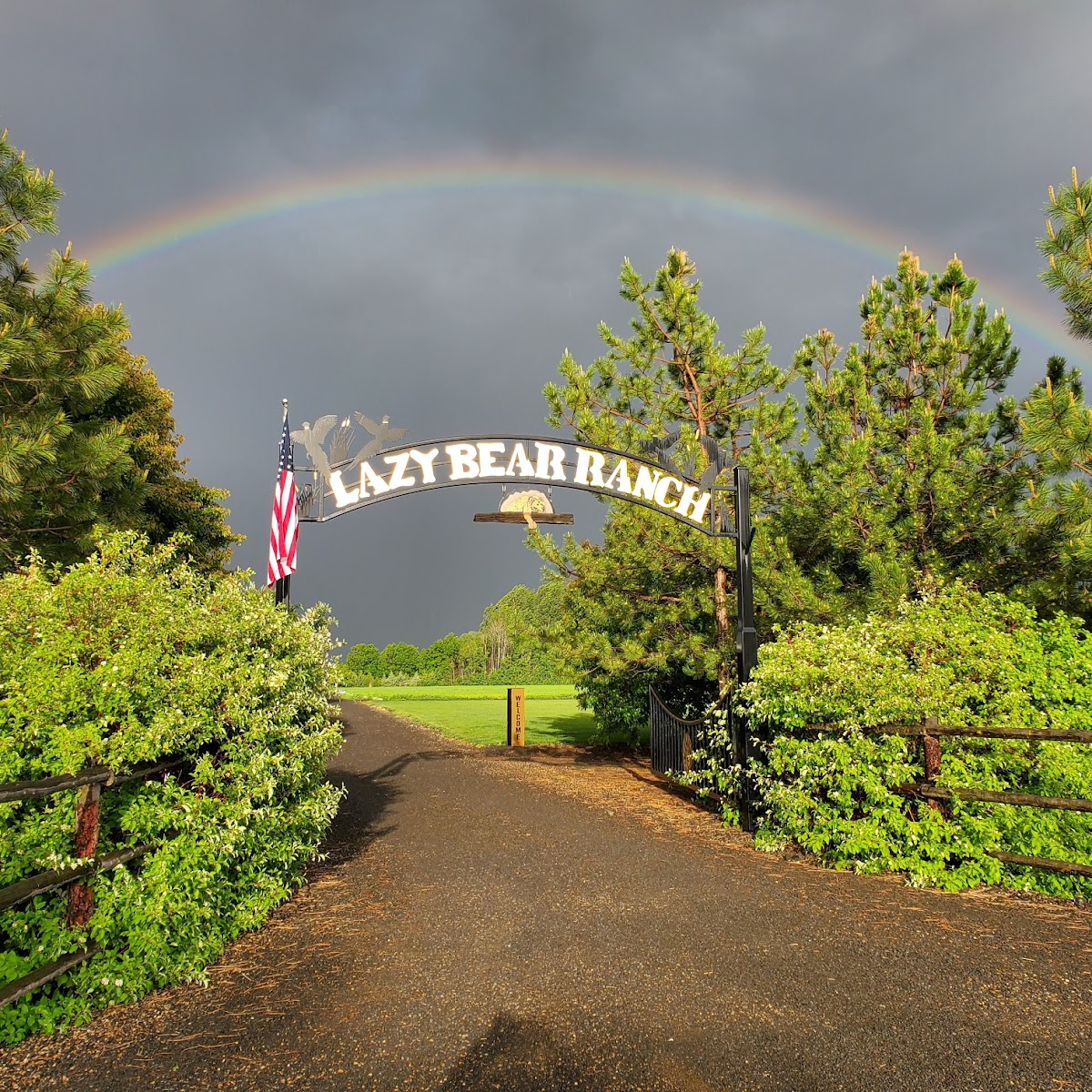 Lazy Bear Ranch LLC