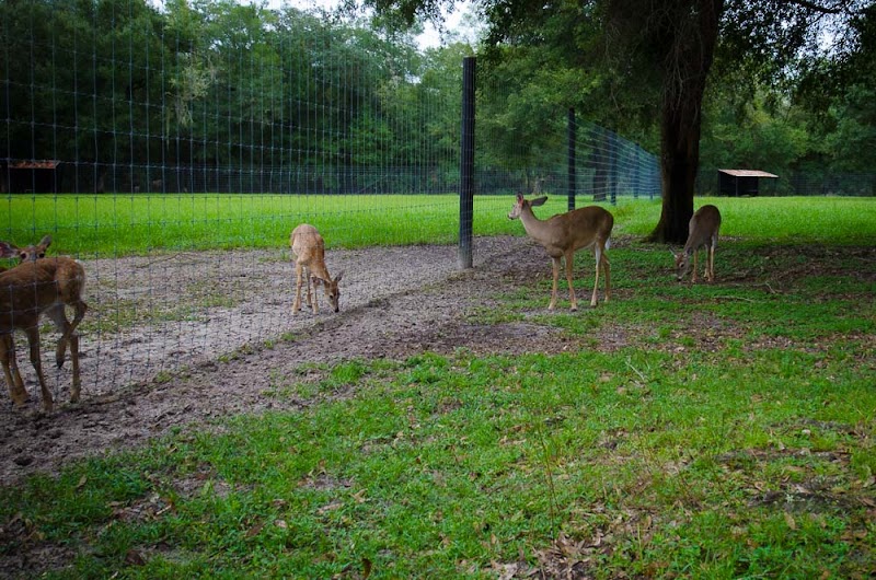 Circle S Ranch Hunt Club - Photo 2