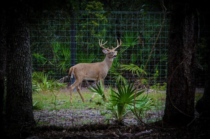 Circle S Ranch Hunt Club - Photo 4