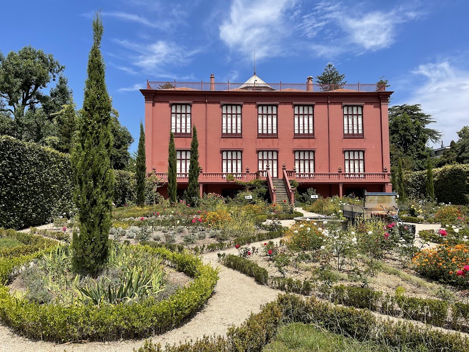 Jardim Botânico do Porto/MHNC-UP fotoğraf 1